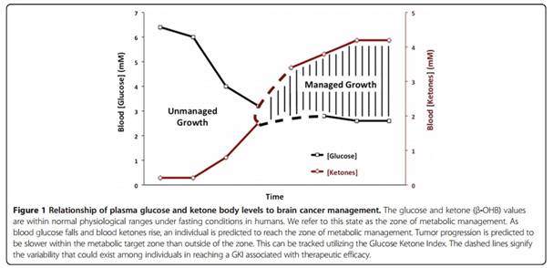 http://cristivlad.com/blog/wp-content/uploads/2015/06/The-Glucose-Ketone-Index-Approach-to-Cancer-Therapy-Some-Early-Insights.jpg